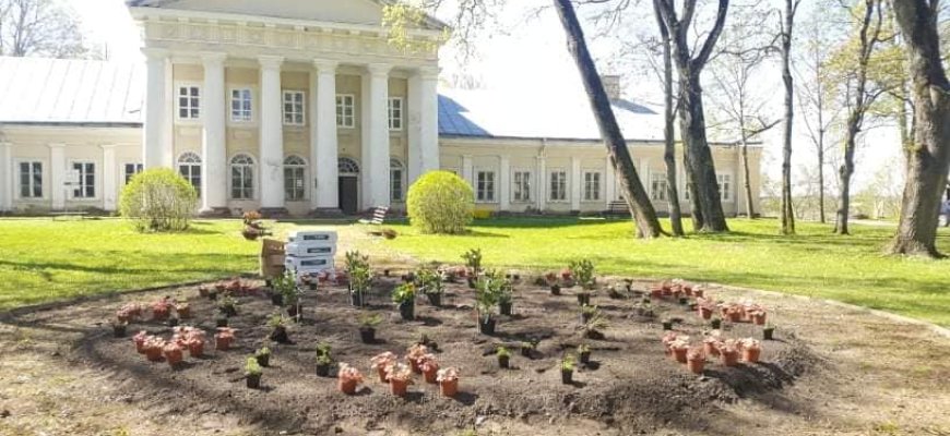 Gražėja ir Salos