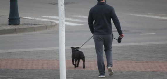 Saviizoliacijoje esantiesiems leidžiama išvesti augintinius į lauką 15 minučių