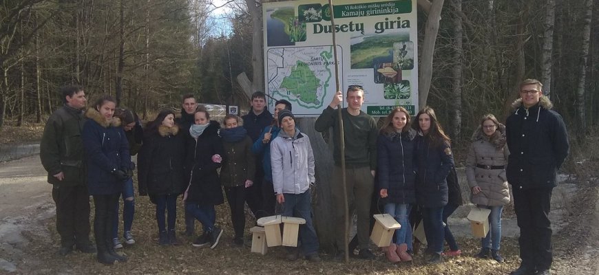 Inkilų kėlimo akcija Dusetų girioje