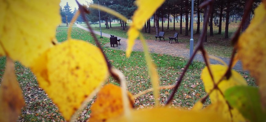 Sugrįžo trumpesnės dienos ir tamsūs rytai: kaip tai veikia mūsų nervų sistemą?