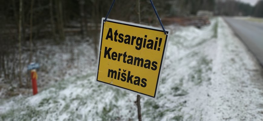 Savivaldybės įpareigotos informuoti gyventojus apie medžių kirtimą, želdynų tvarkymą