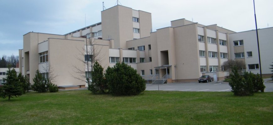 Rokiškyje – žaibinio meningokoko auka: mirė maža mergaitė