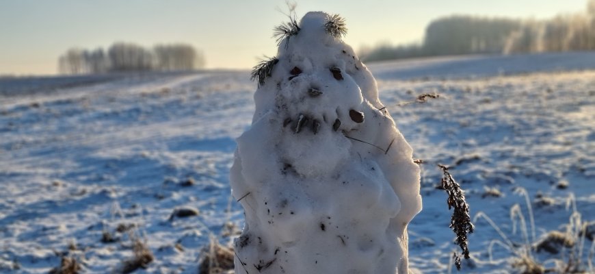 Pusnys augs ir toliau: sniegas lankysis kasdien, vėl spustels šaltukas