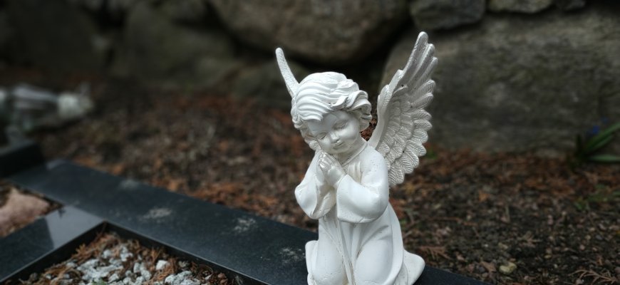 Užuojauta A. Naručiui dėl motinos mirties