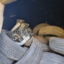 Situacijos spąstuose: privačiame sklype ekologine katastrofa gręsianti kasdienybė AAD nejaudina – „prie sienos“ remia tik finansiškai stabilius pažeidėjus