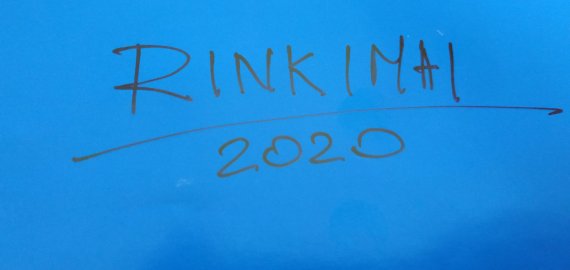 Per 2020 metų Seimo rinkimus užsienio lietuviai turės atskirą apygardą