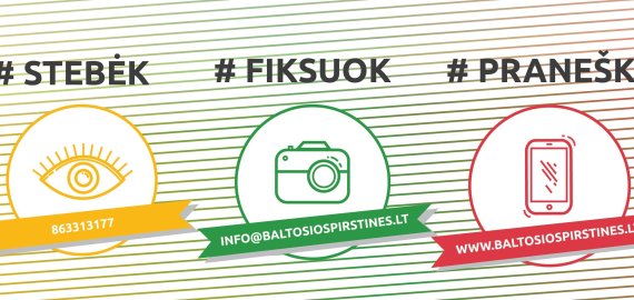 Galimybė piliečiams tapti nepriklausomais rinkimų stebėtojais