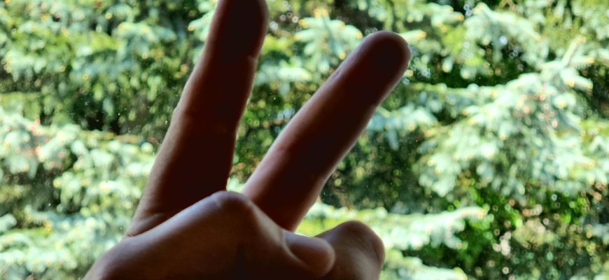 Apie 230 tūkst. žmonių jau išsiėmė galimybių pasą