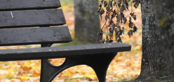 Naujam Rokiškio parkui reikalingas pavadinimas: laukiami Jūsų pasiūlymai