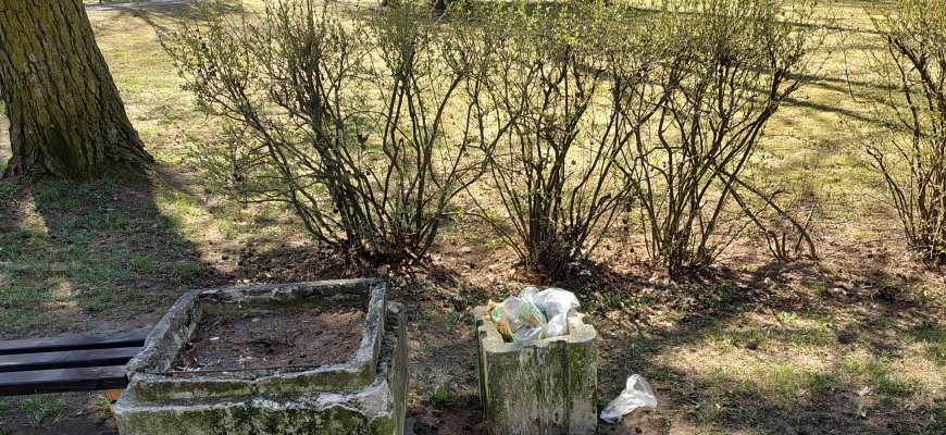 Šimtmečio aikštė vėl perpildyta šiukšlėmis: situacija kartojasi?