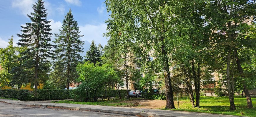 Žaliasis kioskelis liko tik prisiminimuose