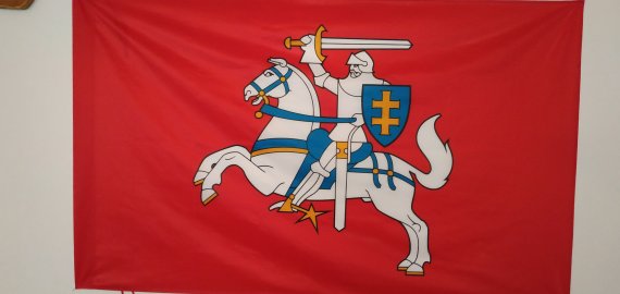 Seimo narys siūlo leisti naudoti Vytį ant automobilių numerių