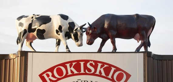 „Rokiškio sūris“ sieks supirkti iki 7,6 proc. savo akcijų
