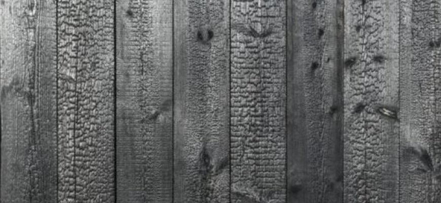 Japoniškuoju medienos apdirbimo būdu apdorota mediena – ilgaamžis bei priežiūrai nereiklus sprendimas lauko terasoms