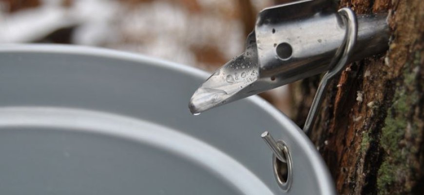 Prasideda sulos sezonas – ką svarbu žinoti