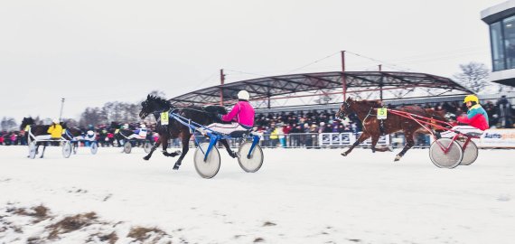 Atidedamos Sartų žirgų lenktynės