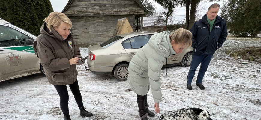 Dėl skundų apie palaidus šunis ant kojų buvo sukeltos tarnybos (foto)