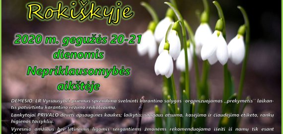 Gegužės 20-21 dienomis - mugė Nepriklausomybės aikštėje
