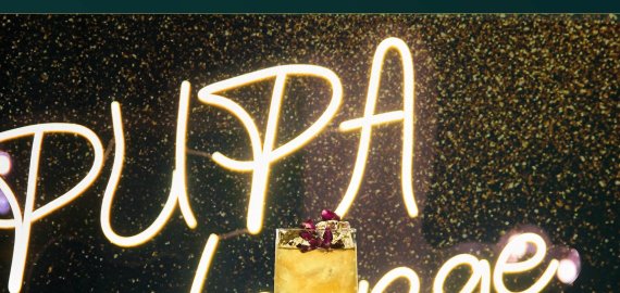 PUPA gerus dalykus kartoja!