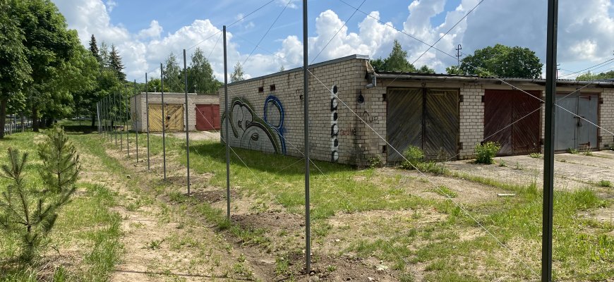 Rokiškio dvaro alėja nuo garažų bus atitverta žalia „siena“