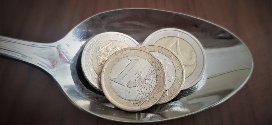 Prezidentas vetavo kainų reguliavimo pataisas