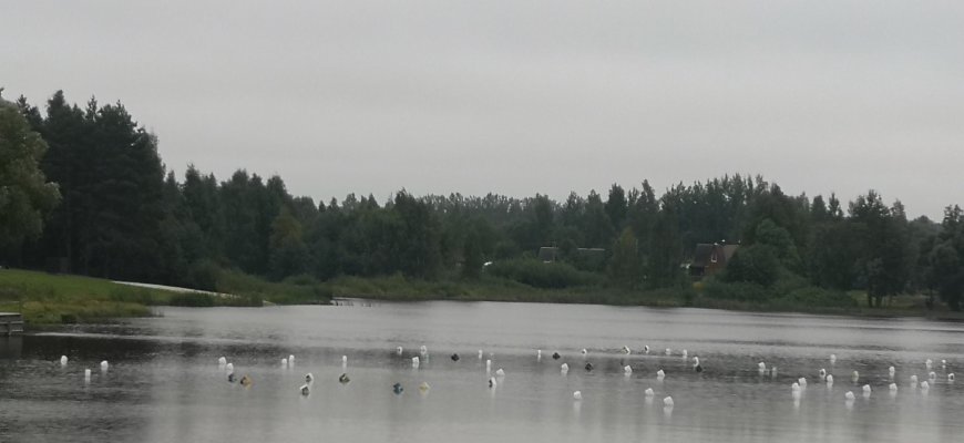 Vandens batutų parkas pateisino 80 proc. lūkesčių