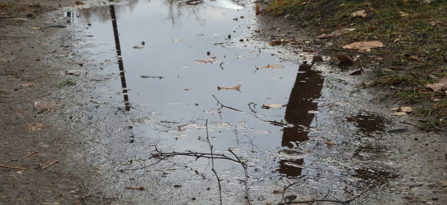 Vairavimas per balas: ką daryti, kad automobilis netaptų skenduoliu
