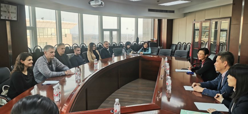 Vizitas Harbine – šiuolaikinio miesto koncepcija, platus verslo požiūris ir neeilinė galimybė menininkams (foto)
