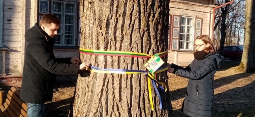 Dvaro parko medžius puošiančios Ukrainos ir Lietuvos vėliavų spalvų juostelės bus papildytos naujais klausimais