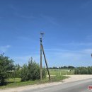 Juodupės g. nukrito gandralizdis - nutraukė elektros laidus (foto)