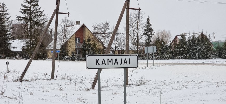 Vilkikas užtvėrė kelią