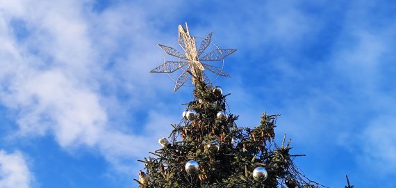 Lietuvoje siautėjantis vėjas testuoja kalėdinių eglučių tvirtumą (foto)