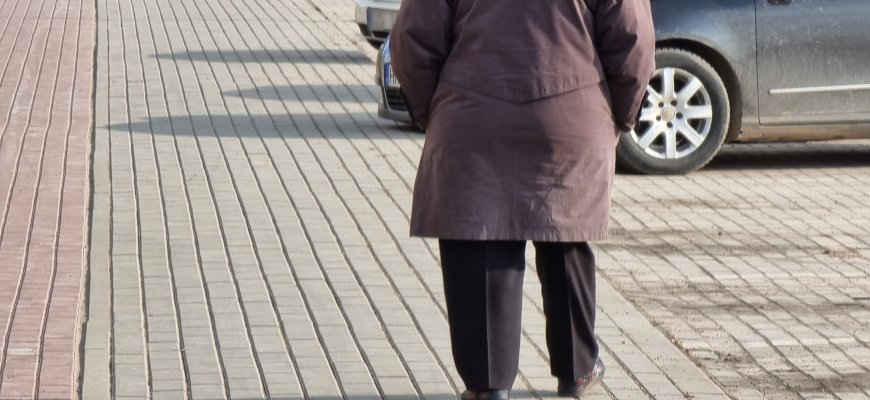 Seimo Socialinių reikalų ir darbo komitetas pritaria vienišo asmens išmokai