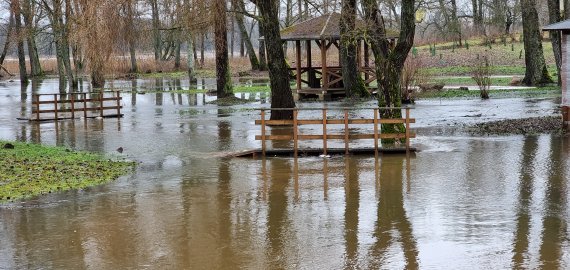 Į Obelius atėjo tikras pavasaris! (video+foto)