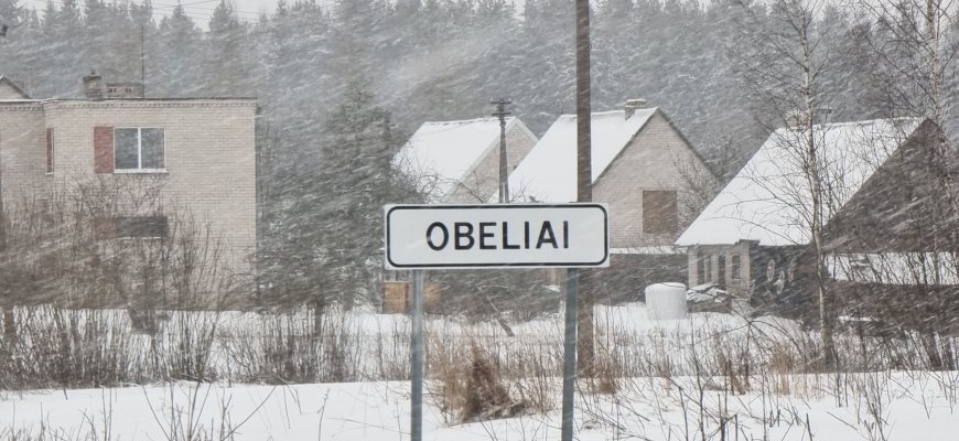 Neblaivus vairavo „Audi“