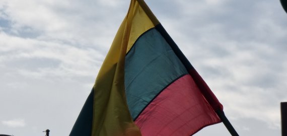 Baudų neiškėlus vėliavos prie negyvenamų namų neliks