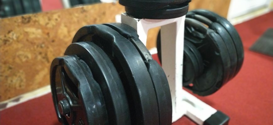 Sporto klubai nori 20 mln. eurų valstybės paramos