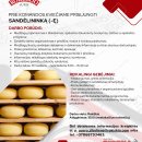 Kviečia prisijungti prie AB „Rokiškio Sūris“ komandos