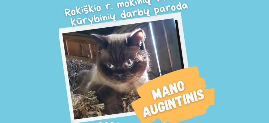 Rokiškio rajono mokinių virtuali kūrybinių darbų paroda „Mano augintinis“