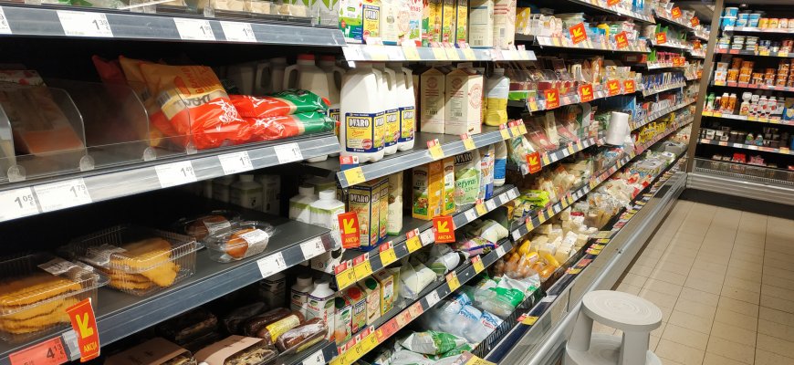 G. Nausėda siūlo svarstyti laikinas lengvatas kai kuriems produktams ar paslaugoms