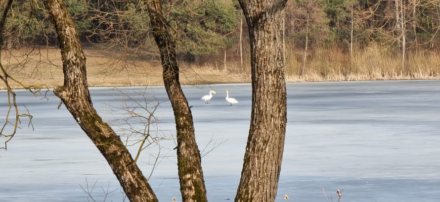 Rokiškio mieste gražėja erdvės, bet kai kurių permainų teks palaukti