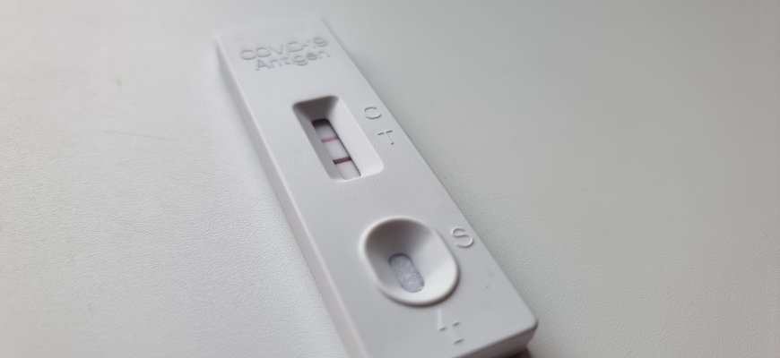Lietuvoje nustatyti du koronaviruso omikron atmainos atvejai