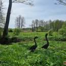 Gačionių dvaras vėl priima lankytojus: tai, ką parodo naujieji šeimininkai, yra netikėta ir įspūdinga (foto)