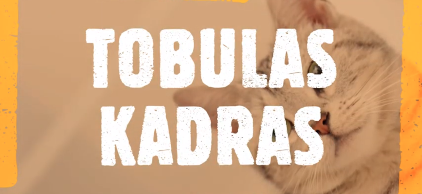 Rokiškio rajono mokinių, turinčių specialiųjų ugdymosi poreikių, virtuali fotografijų paroda ,,Tobulas kadras‘‘ (video)