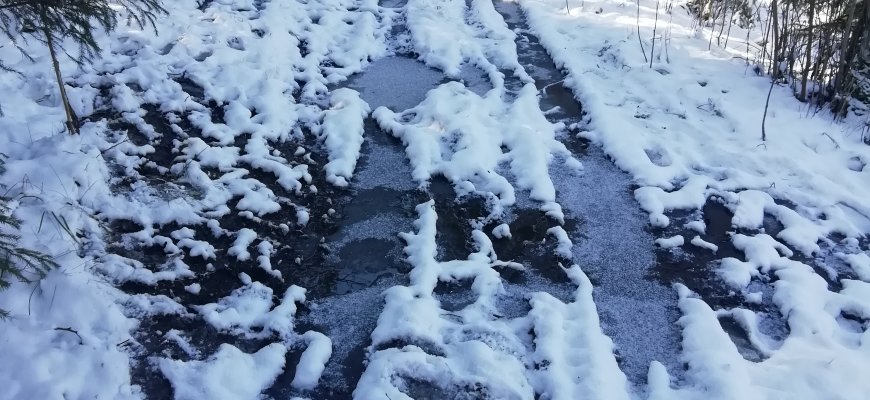 Kelių ir takelių niokotojus baudžia policija