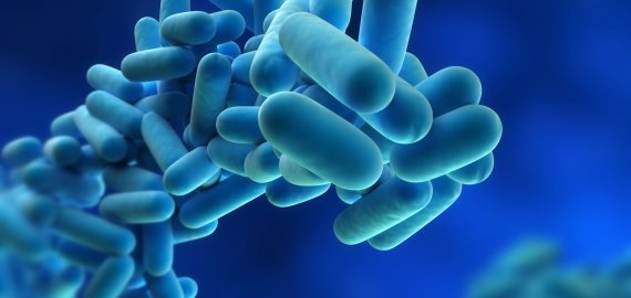 Kas savo patalpose privalo atlikti geriamojo vandens (šalto ir karšto) mikrobiologinį tyrimą legionelėms nustatyti? Pasitikrinkite, ar esate sąraše.
