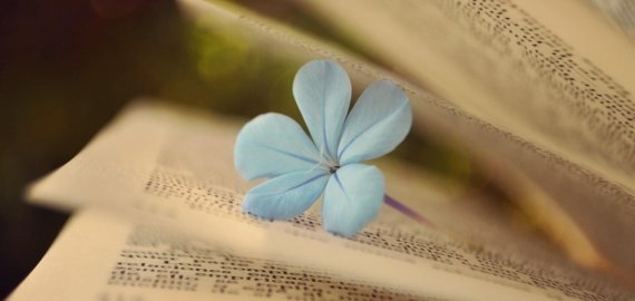 Rugpjūčio 29d. Liudo Dovydėno premijos įteikimo iškilmės