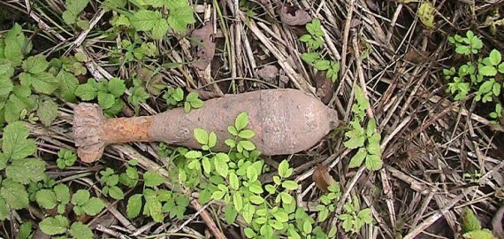 Jūžintų seniūnijoje rasti karo laikų sprogmenys