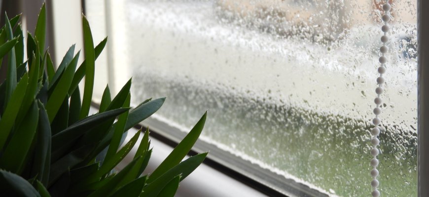 Orai: lietų savaitgalį pakeis saulės spinduliai