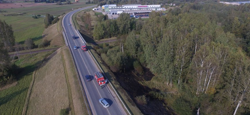 Ūsuoti bebrai puola: Rokiškyje nuverstas medis, nutraukti laidai, sukeltas gaisras ir specialiosios tarnybos (video)